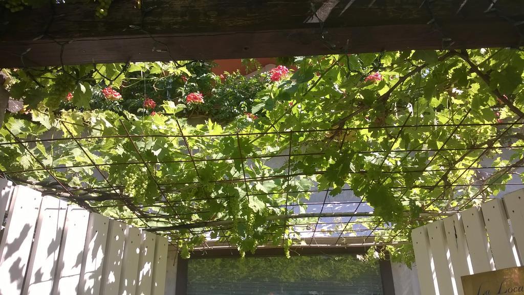 La Locandina Bed & Breakfast Cerveteri Luaran gambar